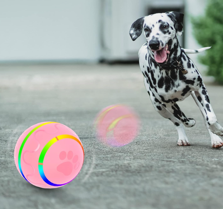 PELOTA INTERACTIVA PARA MASCOTAS USB