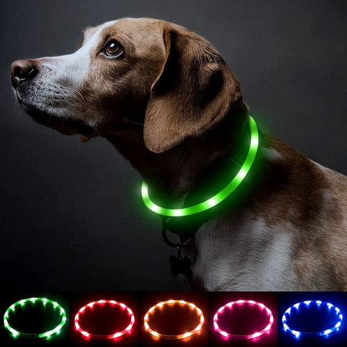 Collar LED Recargable para Mascotas